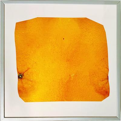 Reproduction—Orange 2; 2013.079