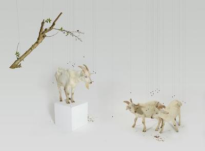 El Jardin De Senderos Que Se Bifurcan - Three Goats; 2010.021