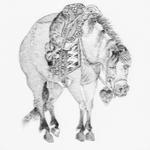 12 Animals - Horse