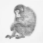 12 Animals - Monkey